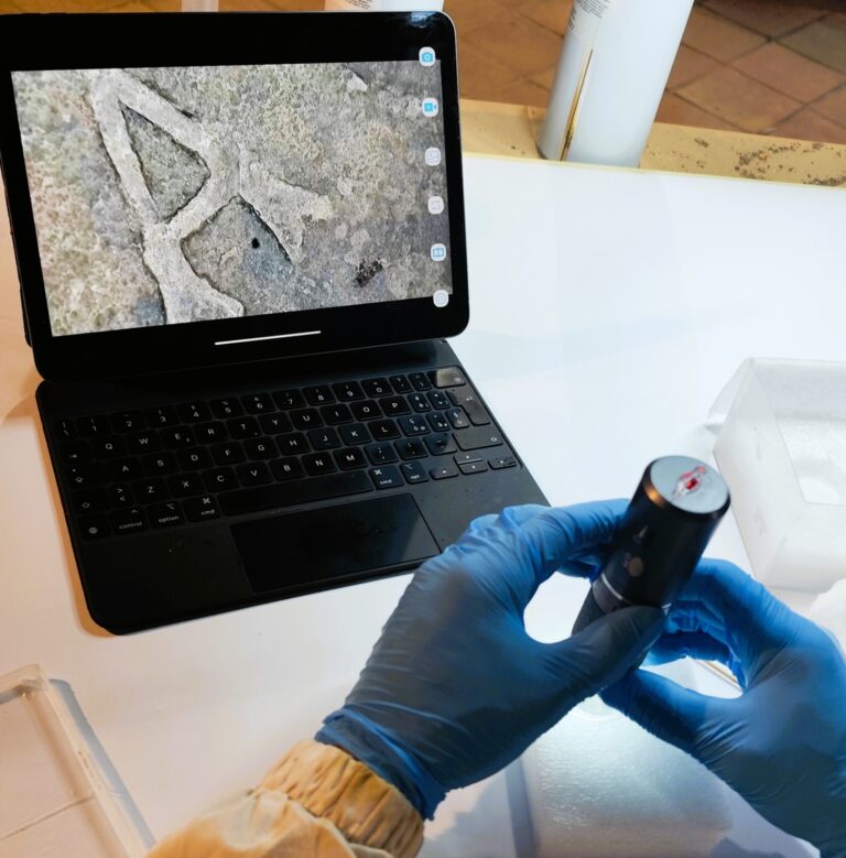 Fase dell'analisi microscopica